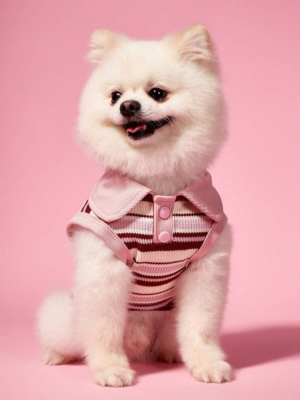 Polo Pet Tee